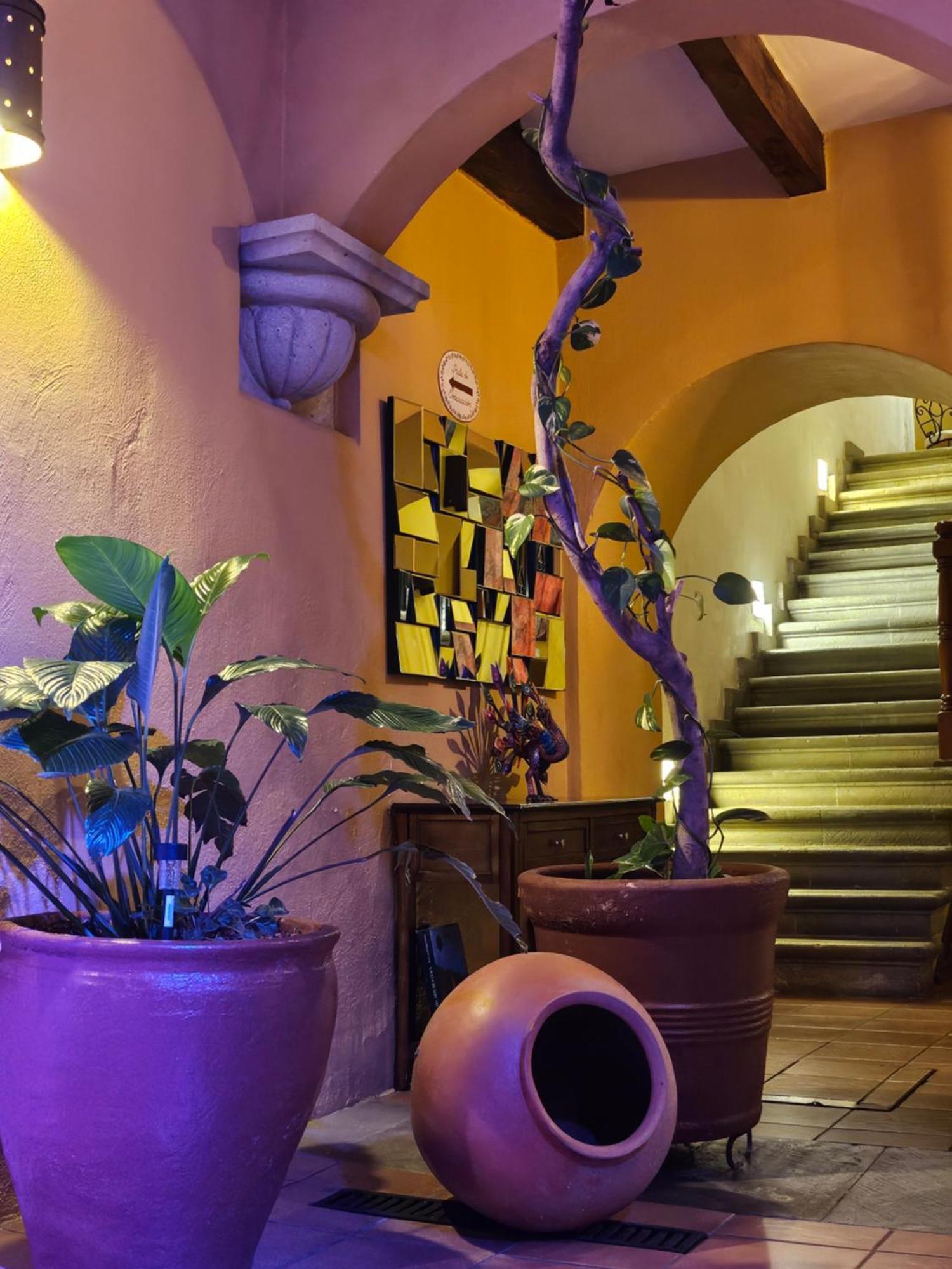 Hotel Casa Divina Oaxaca Exterior foto